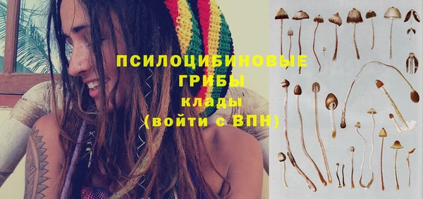 ECSTASY Армянск