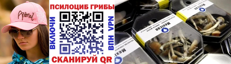 Псилоцибиновые грибы ЛСД  наркота  OMG tor  Пласт 