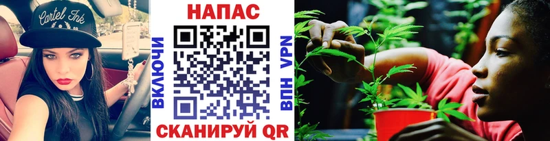 где найти наркотики  Пласт  Бошки Шишки сатива 